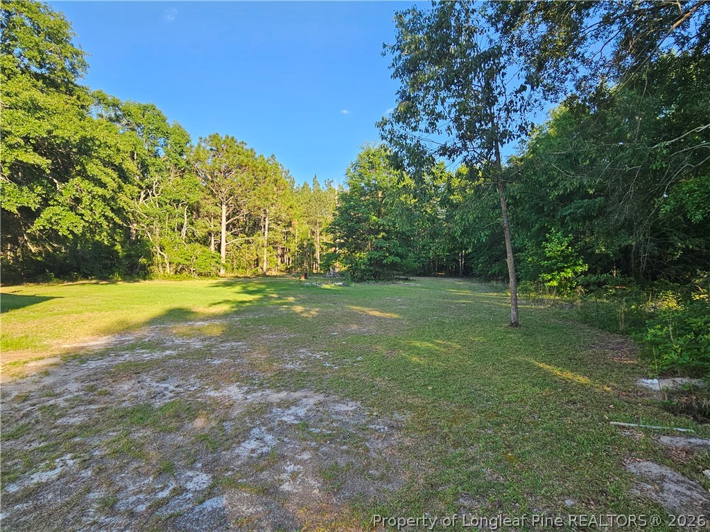 18420 Quicktown Road Hamlet, NC 28345 - Photo 32 of 40
