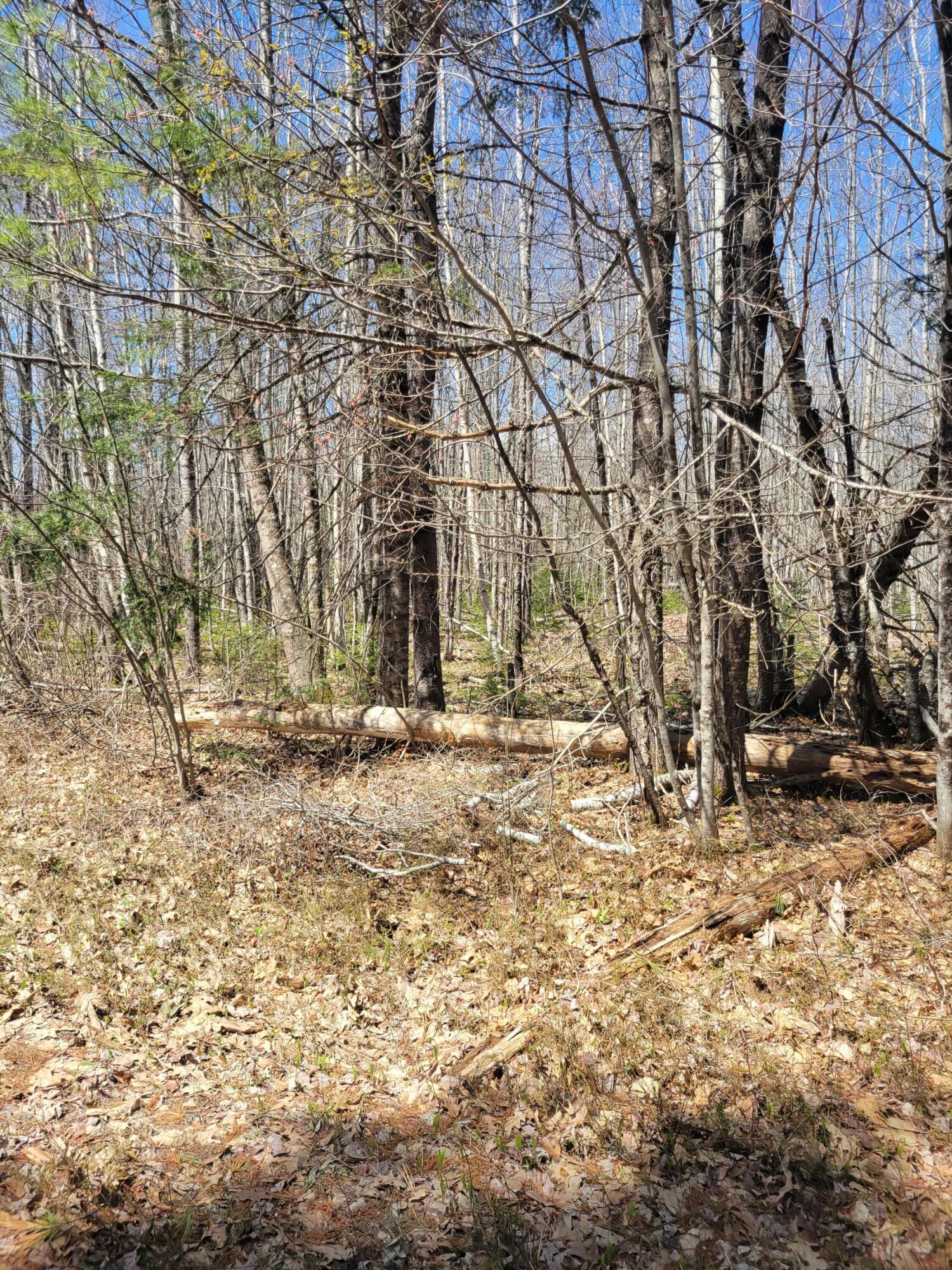 0 Middle River Road Greenbush, ME 04418 - Photo 29 of 42 20220505_113148