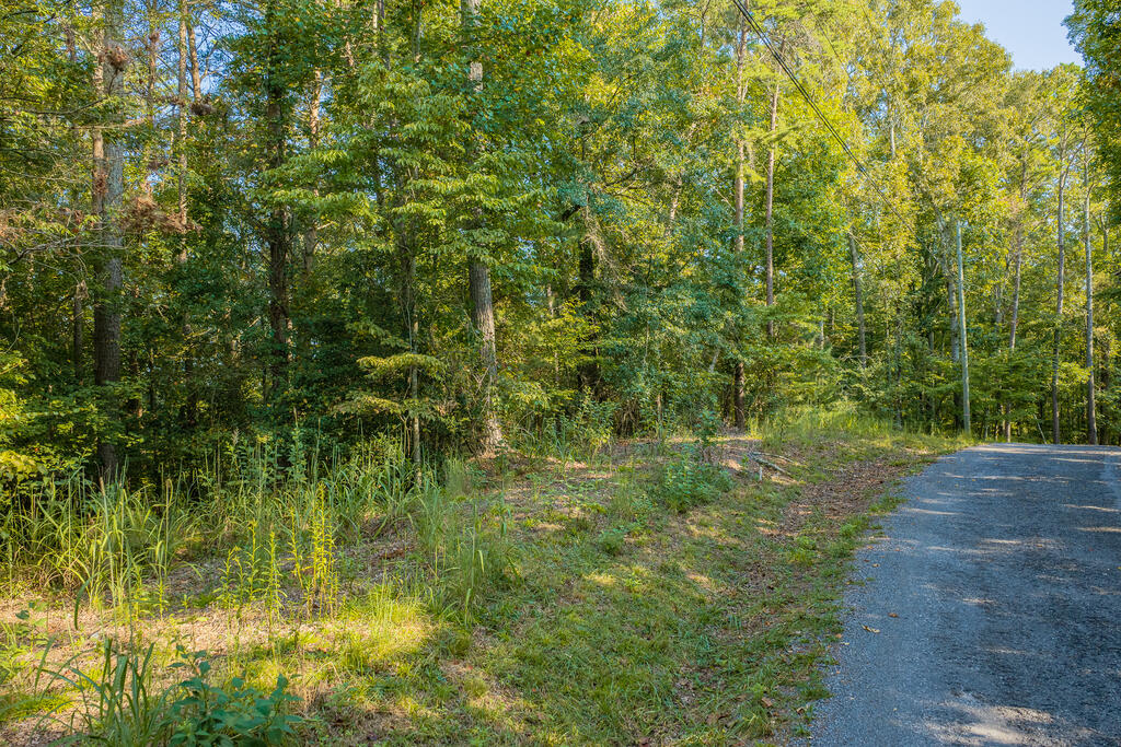 Lot 1709 Rebekah Ridge Road Talking Rock, GA 30175 - Photo 3 of 23 Gallery Image 3