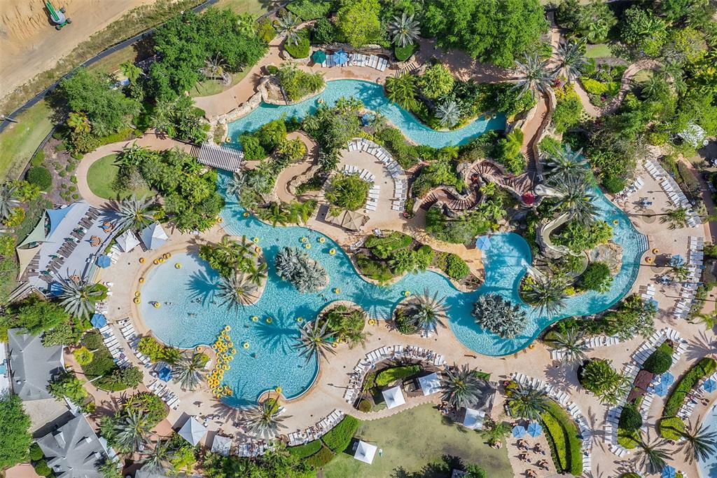 7423 Sparkling Court Reunion, FL 34747 - Photo 46 of 62 view of a tree with flowers