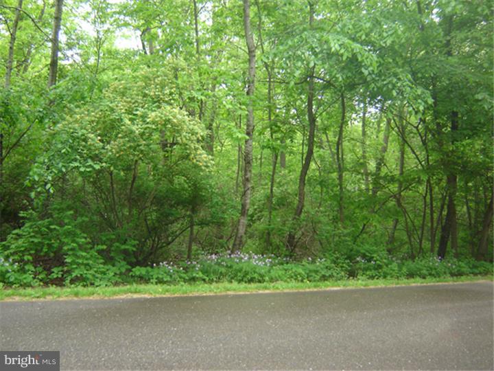 140 Morris Road Townsend, DE 19734 - Photo 1 of 1