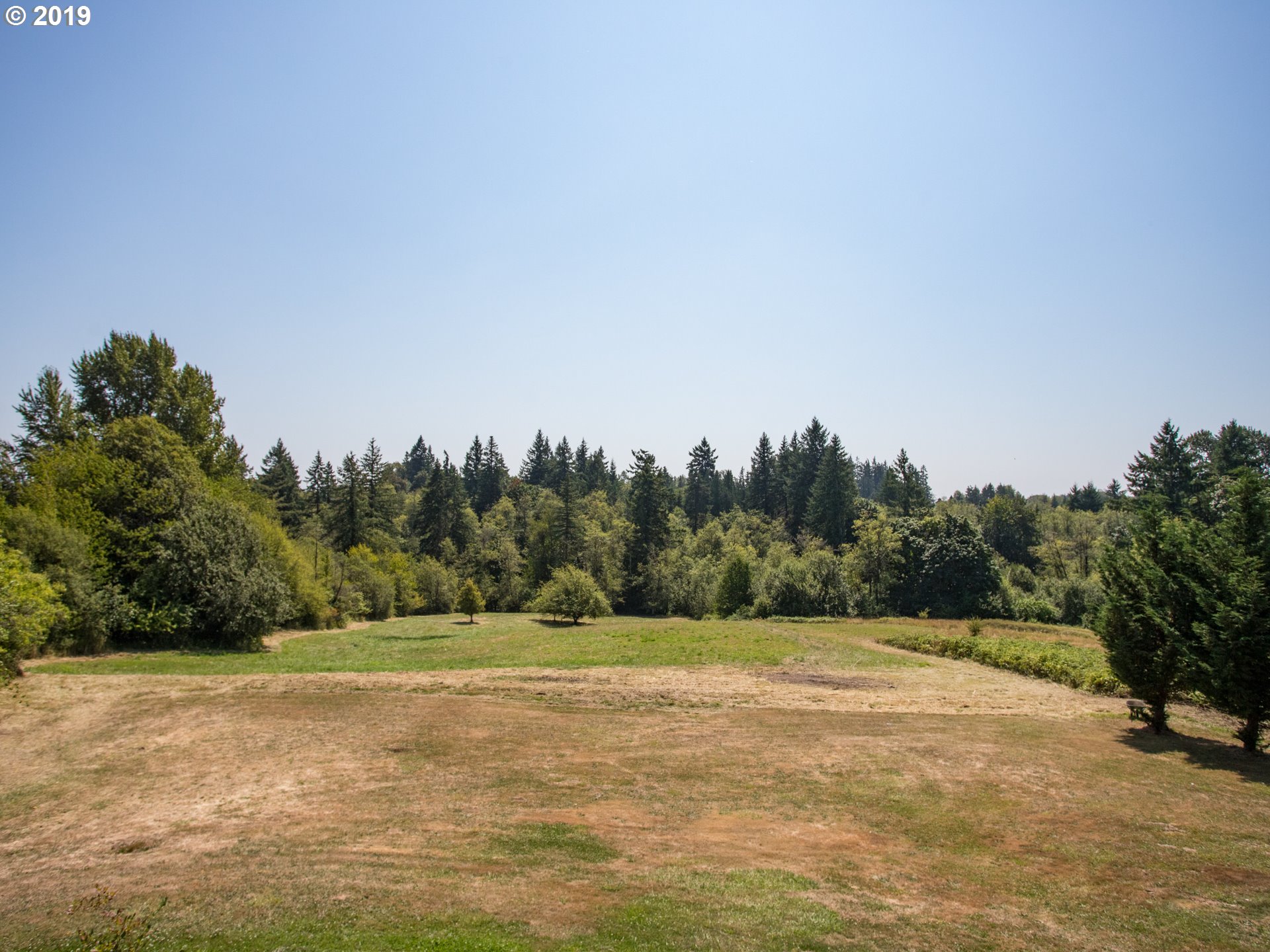 417 Northeast 299th Street Ridgefield, WA 98642 - Photo 6 of 32 a view of a field with trees in the background