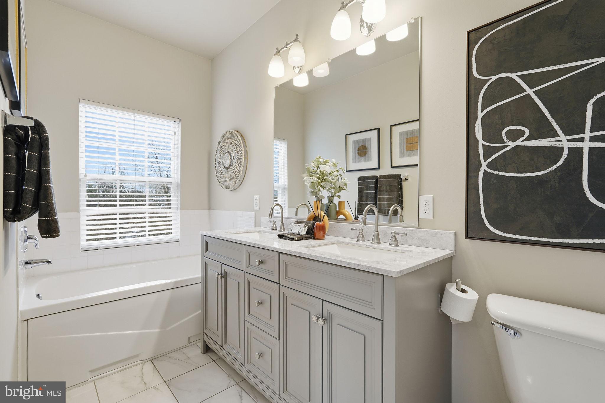 46600 Chase View Terrace Sterling, VA 20164 - Photo 18 of 38 a bathroom with a sink a toilet a mirror and shower