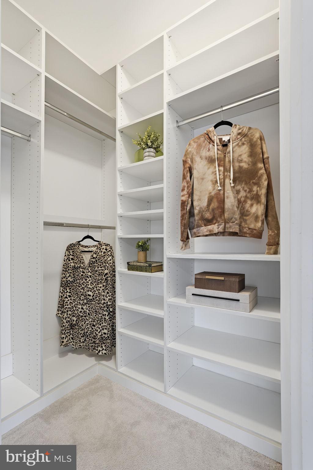 46600 Chase View Terrace Sterling, VA 20164 - Photo 20 of 38 a view of walk in closet with clothes and shoes