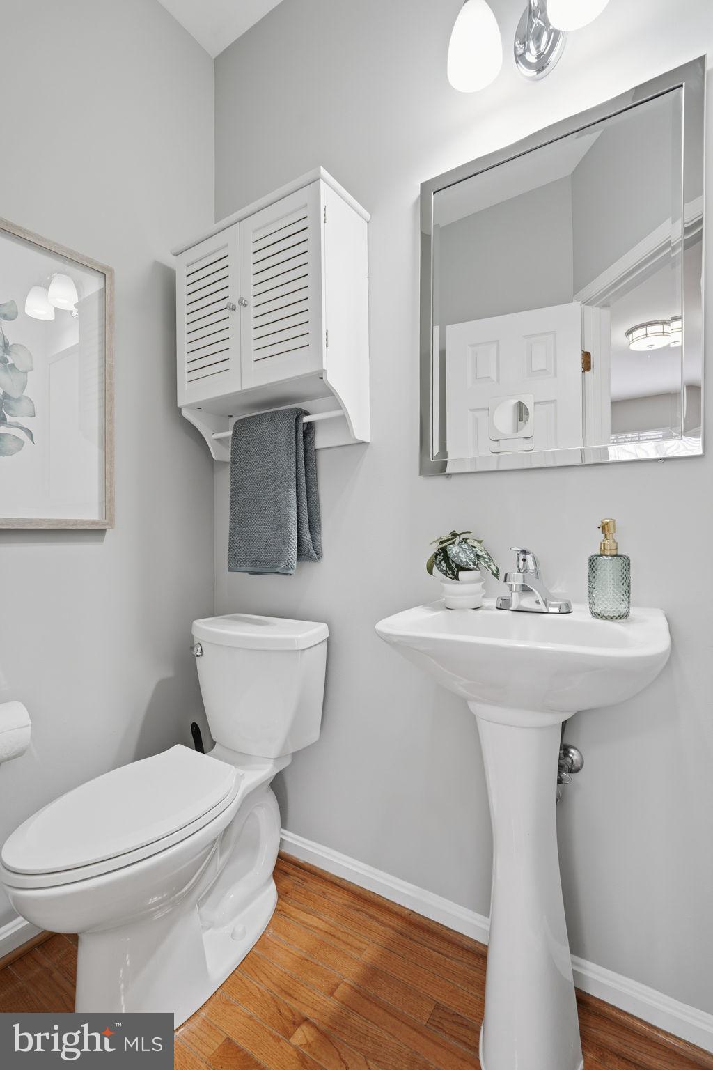 46600 Chase View Terrace Sterling, VA 20164 - Photo 30 of 38 a bathroom with a toilet sink and mirror