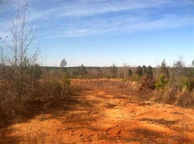 0 South Cooks Rd Mountain Rest Cross Hill, SC 29332 - Photo 11 of 20 Gallery Image 11