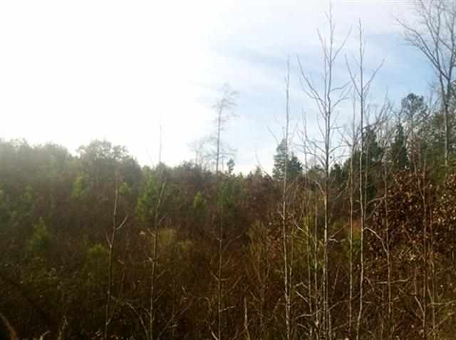 0 South Cooks Rd Mountain Rest Cross Hill, SC 29332 - Photo 17 of 20 Gallery Image 17