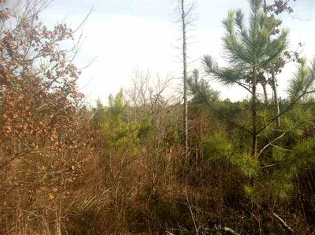 0 South Cooks Rd Mountain Rest Cross Hill, SC 29332 - Photo 20 of 20 Gallery Image 20