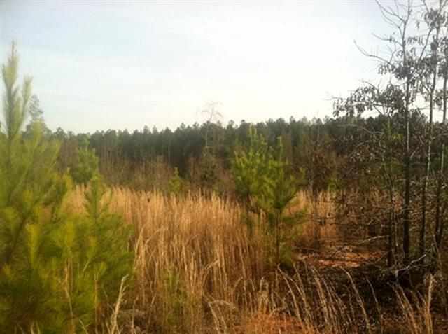 0 South Cooks Rd Mountain Rest Cross Hill, SC 29332 - Photo 3 of 20 Gallery Image 3