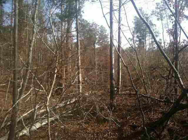 0 South Cooks Rd Mountain Rest Cross Hill, SC 29332 - Photo 10 of 20 Gallery Image 10