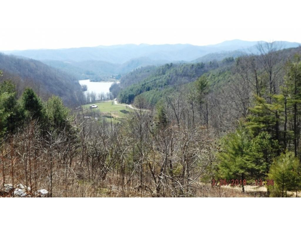 6919 Big Dry Run Road Butler, TN 37640 - Photo 4 of 26 Views of Lake