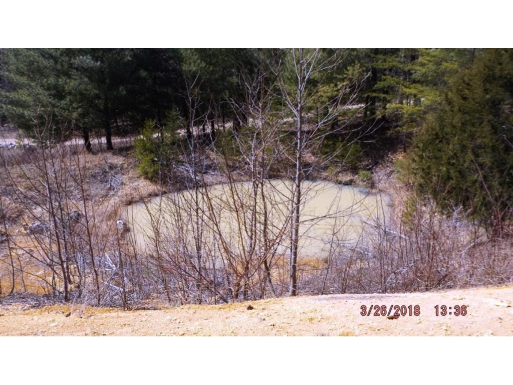 6919 Big Dry Run Road Butler, TN 37640 - Photo 10 of 26 Farm Pond