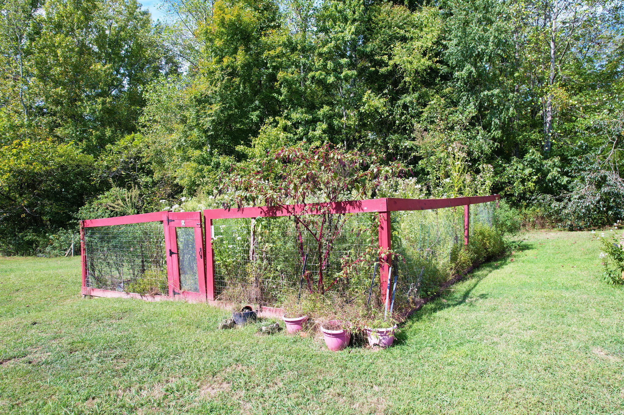 206 County Road 754 Riceville, TN 37370 - Photo 40 of 50 40