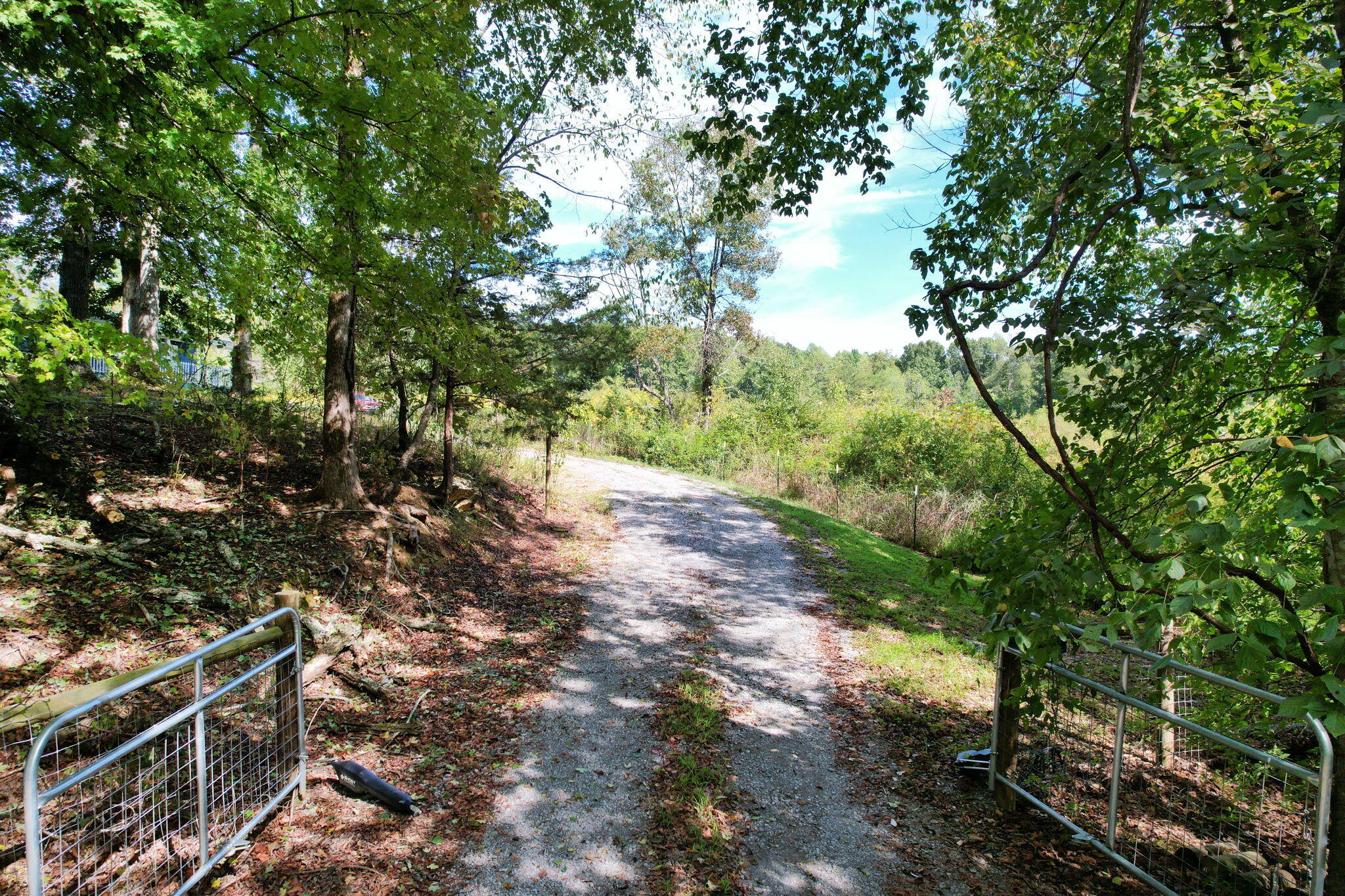 206 County Road 754 Riceville, TN 37370 - Photo 44 of 50 44