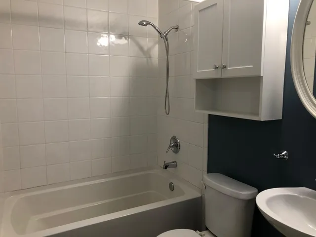 a bathroom with a toilet and a bathtub