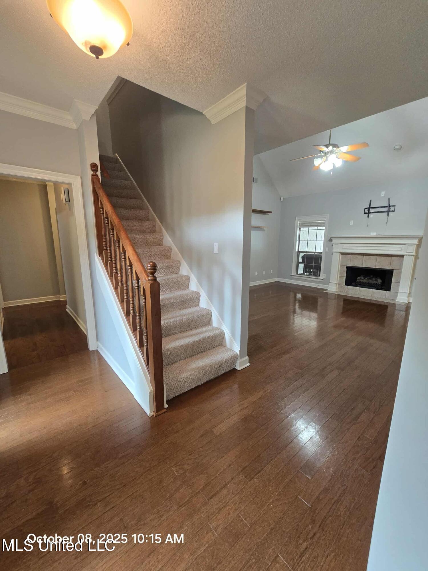 3583 College Bluff Olive Branch, MS 38654 - Photo 5 of 26 Front Door Entryway