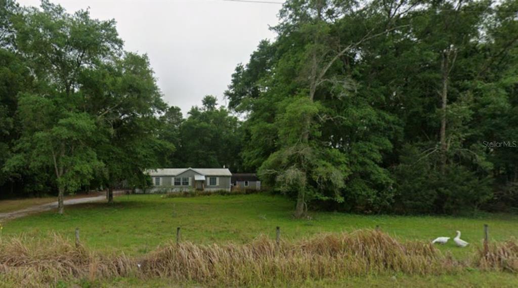 5109 Southwest 10th Street Bell, FL 32619 - Photo 1 of 38 a view of a trees in a yard