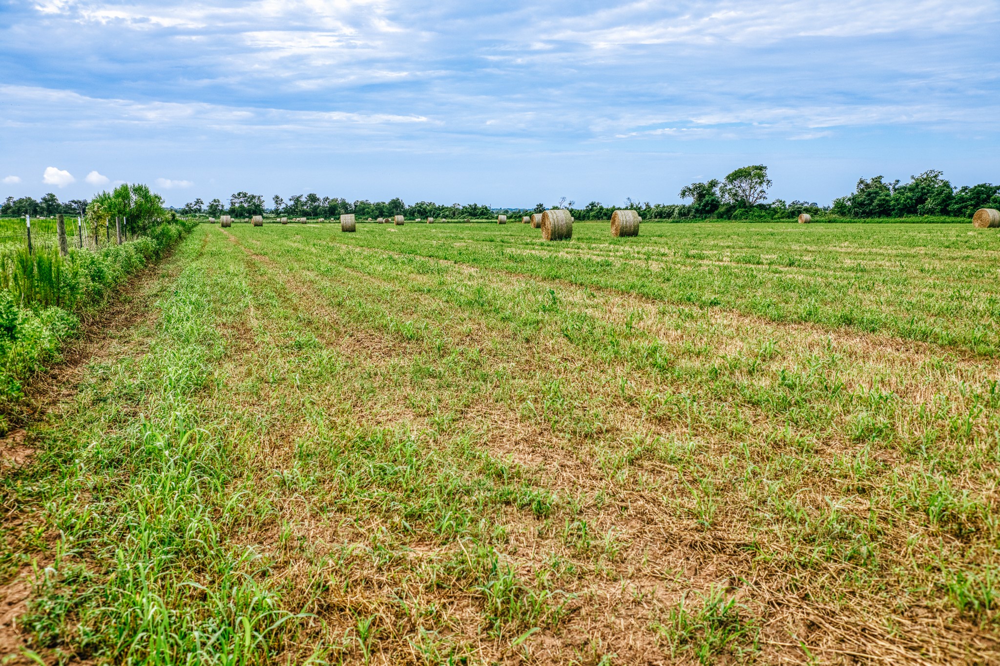 0 Richard Frey Road Waller, TX 77484 - Photo 22 of 23
