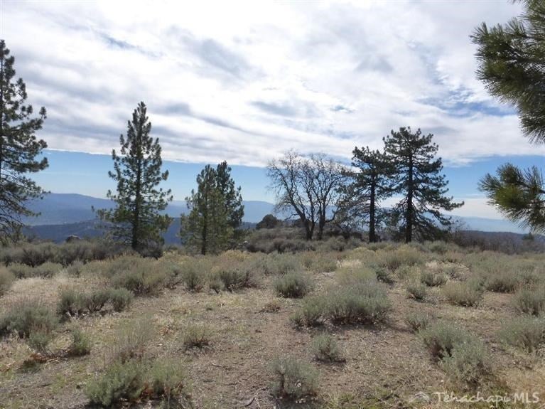 0 Stirrup Way Tehachapi, CA 93561 - Photo 8 of 16 Gallery Image 8