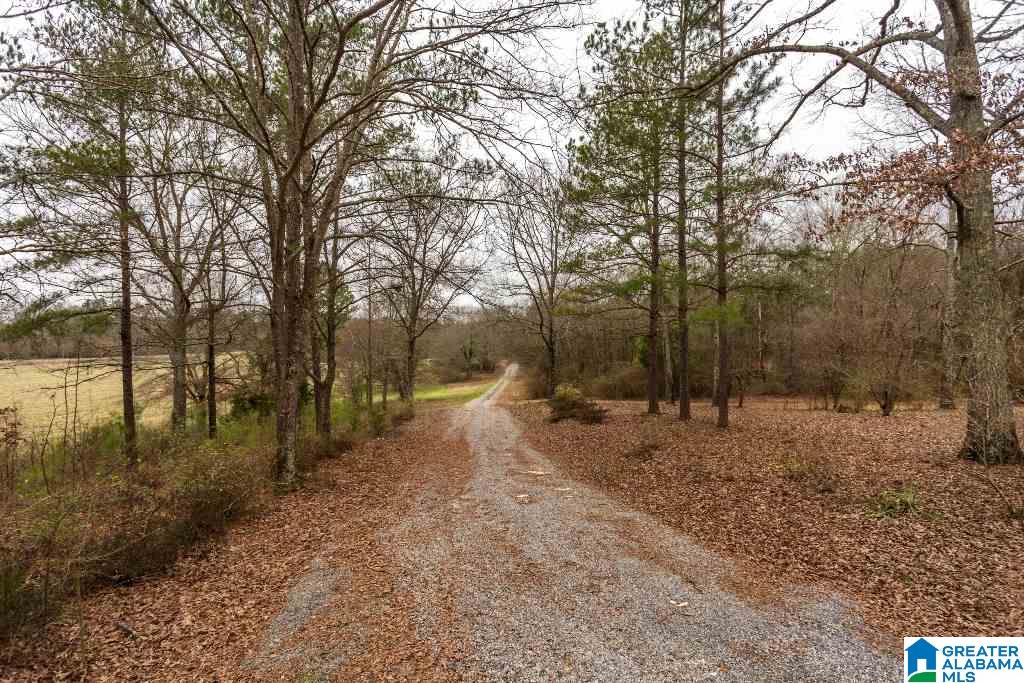 1480 Turner Mill Road Talladega, AL 35160 - Photo 2 of 46