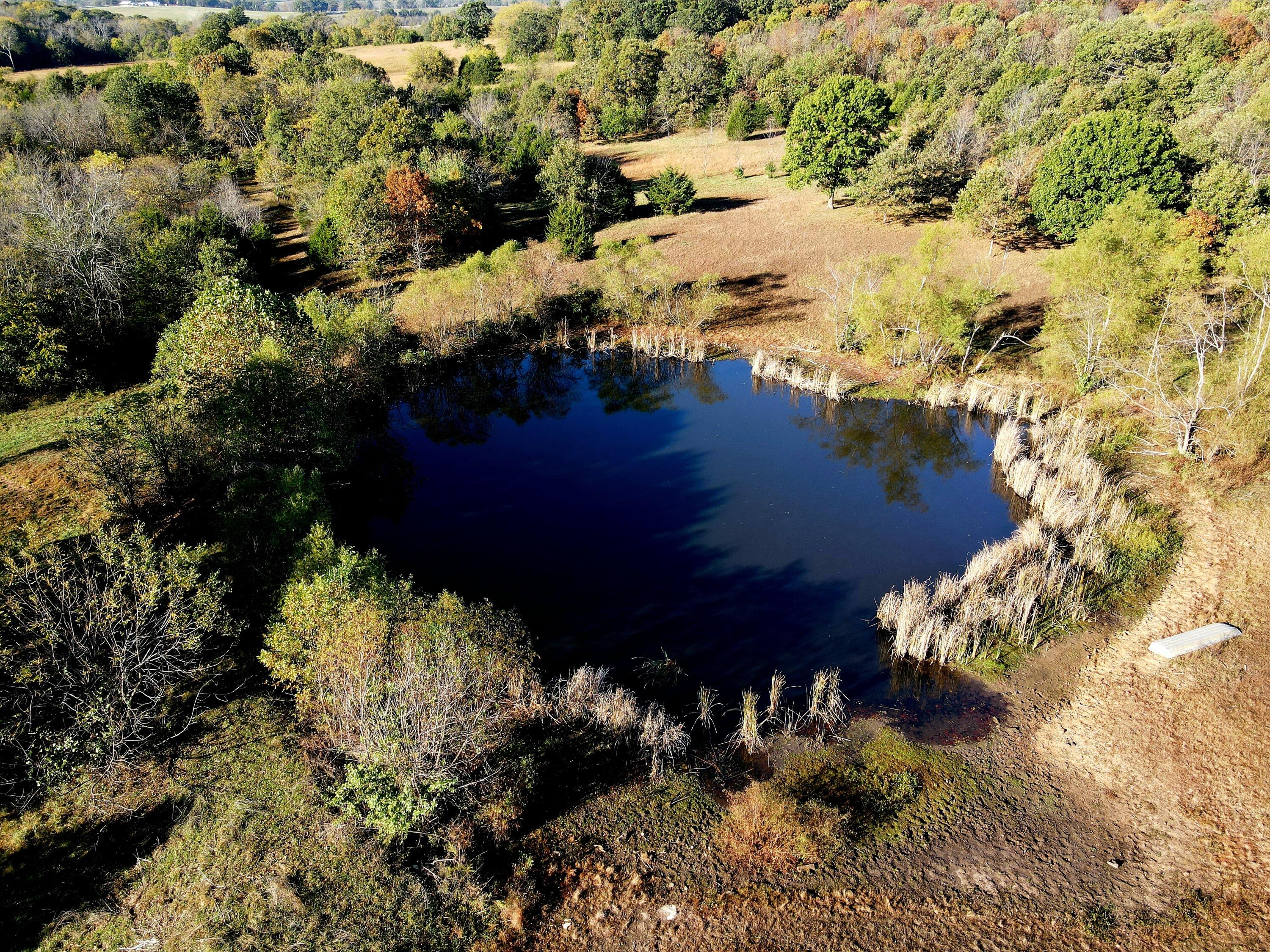 3121 South 25th Road Humansville, MO 65674 - Photo 17 of 34 dji_fly_20251022_092552_920_176114452366