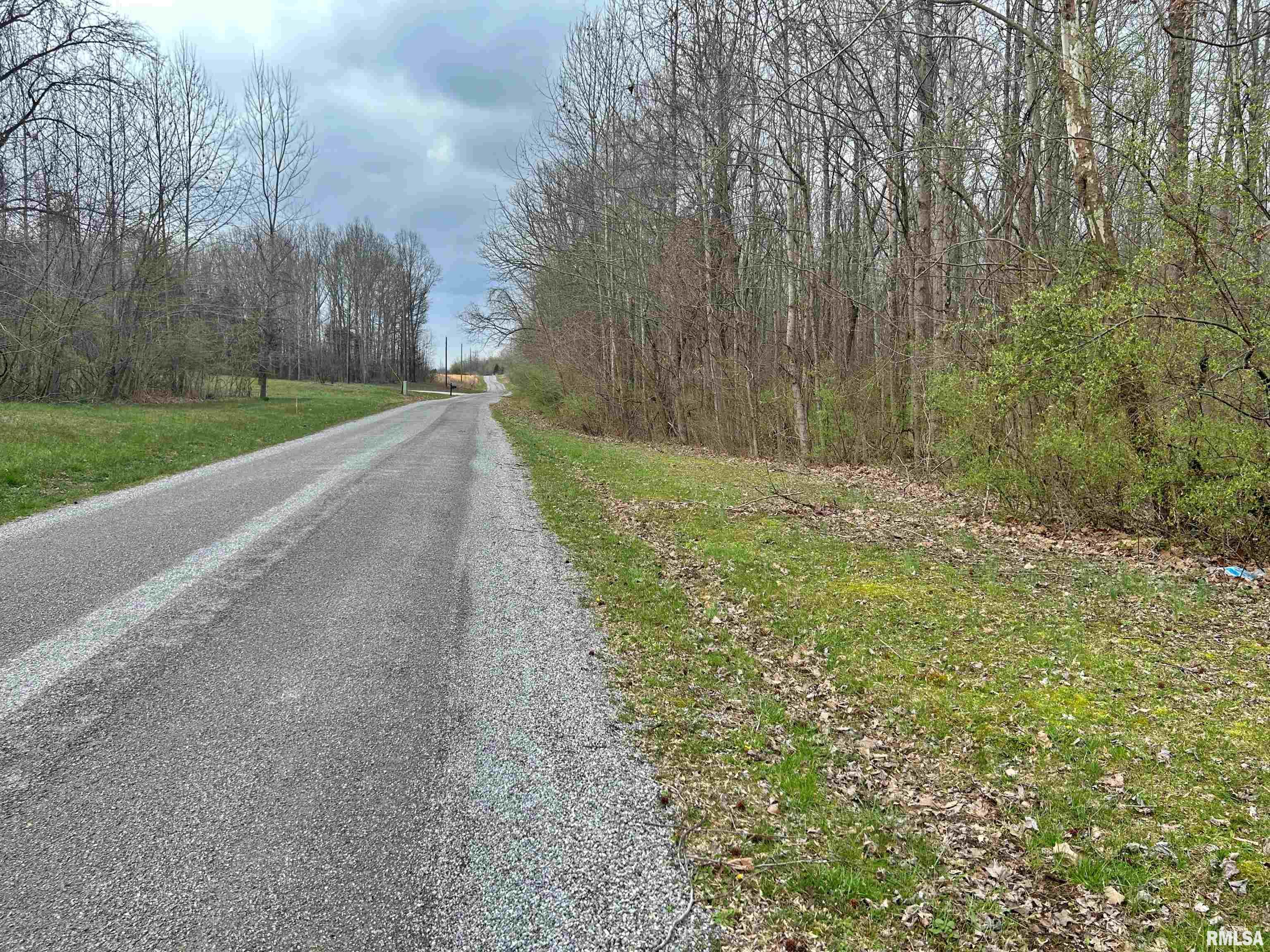 Tbd Fish Farm Road Golconda, IL 62938 - Photo 4 of 9