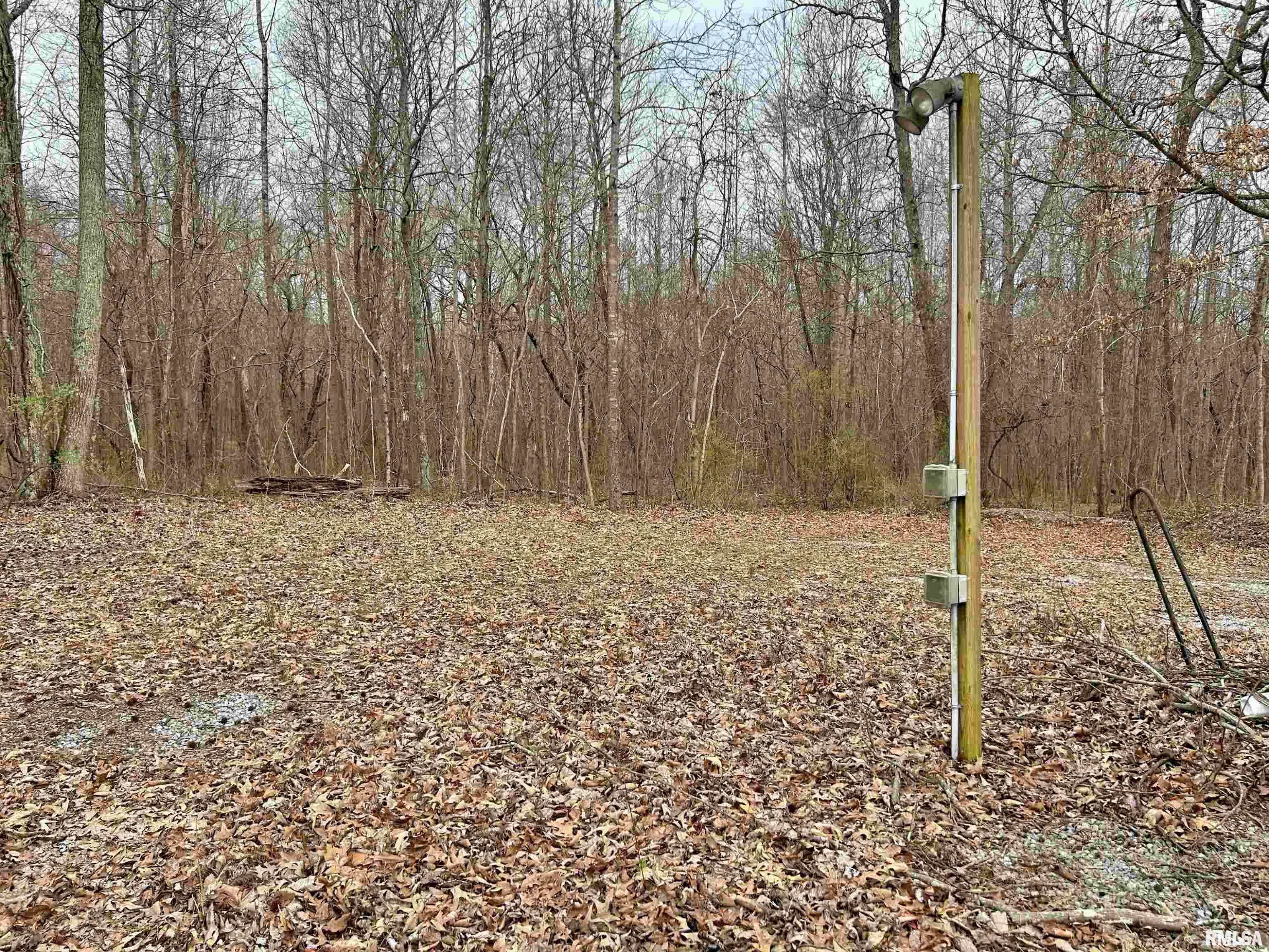 Tbd Fish Farm Road Golconda, IL 62938 - Photo 5 of 9