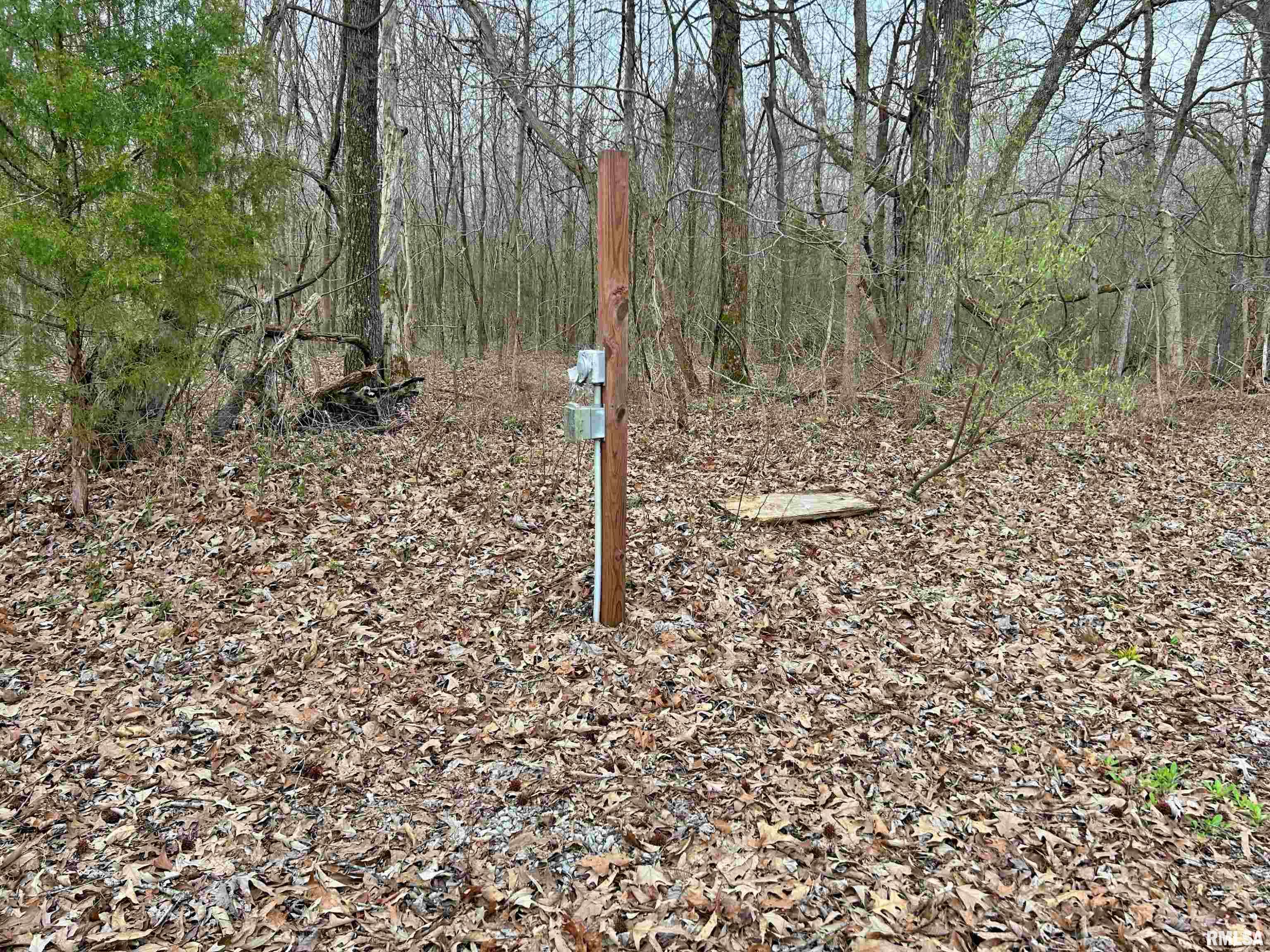 Tbd Fish Farm Road Golconda, IL 62938 - Photo 6 of 9