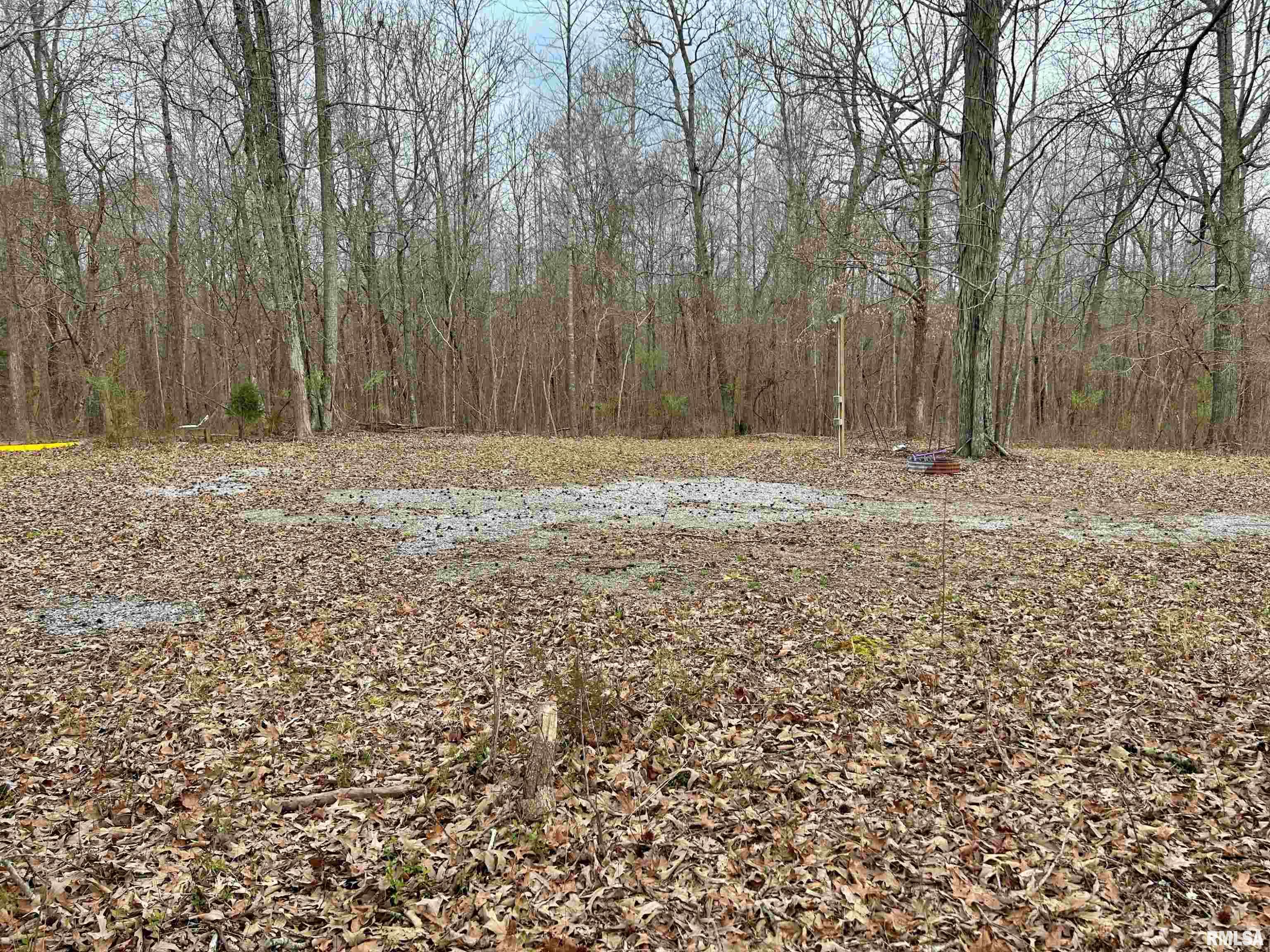 Tbd Fish Farm Road Golconda, IL 62938 - Photo 7 of 9