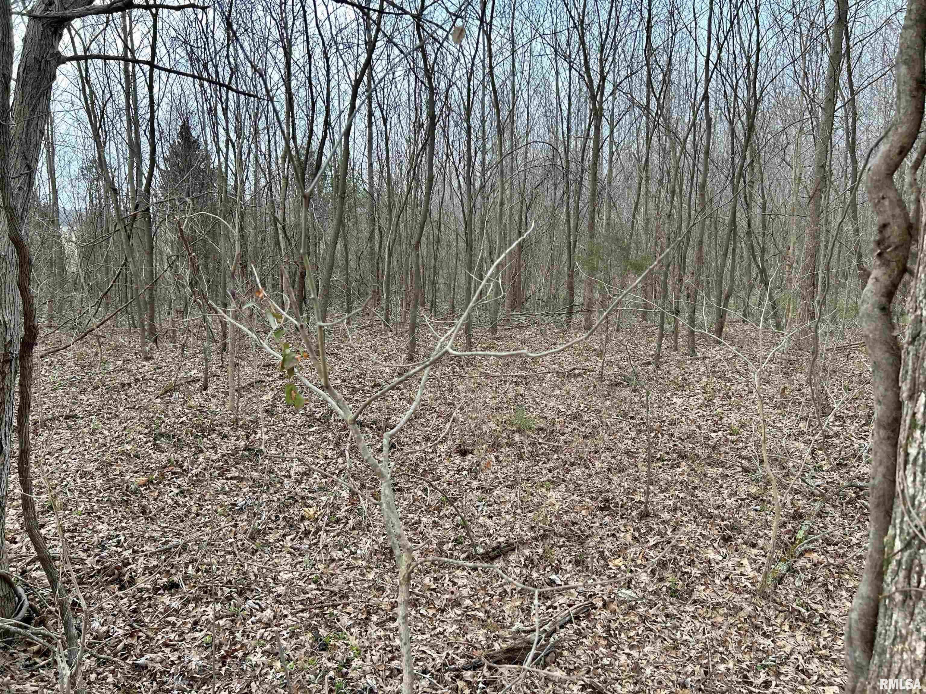 Tbd Fish Farm Road Golconda, IL 62938 - Photo 9 of 9