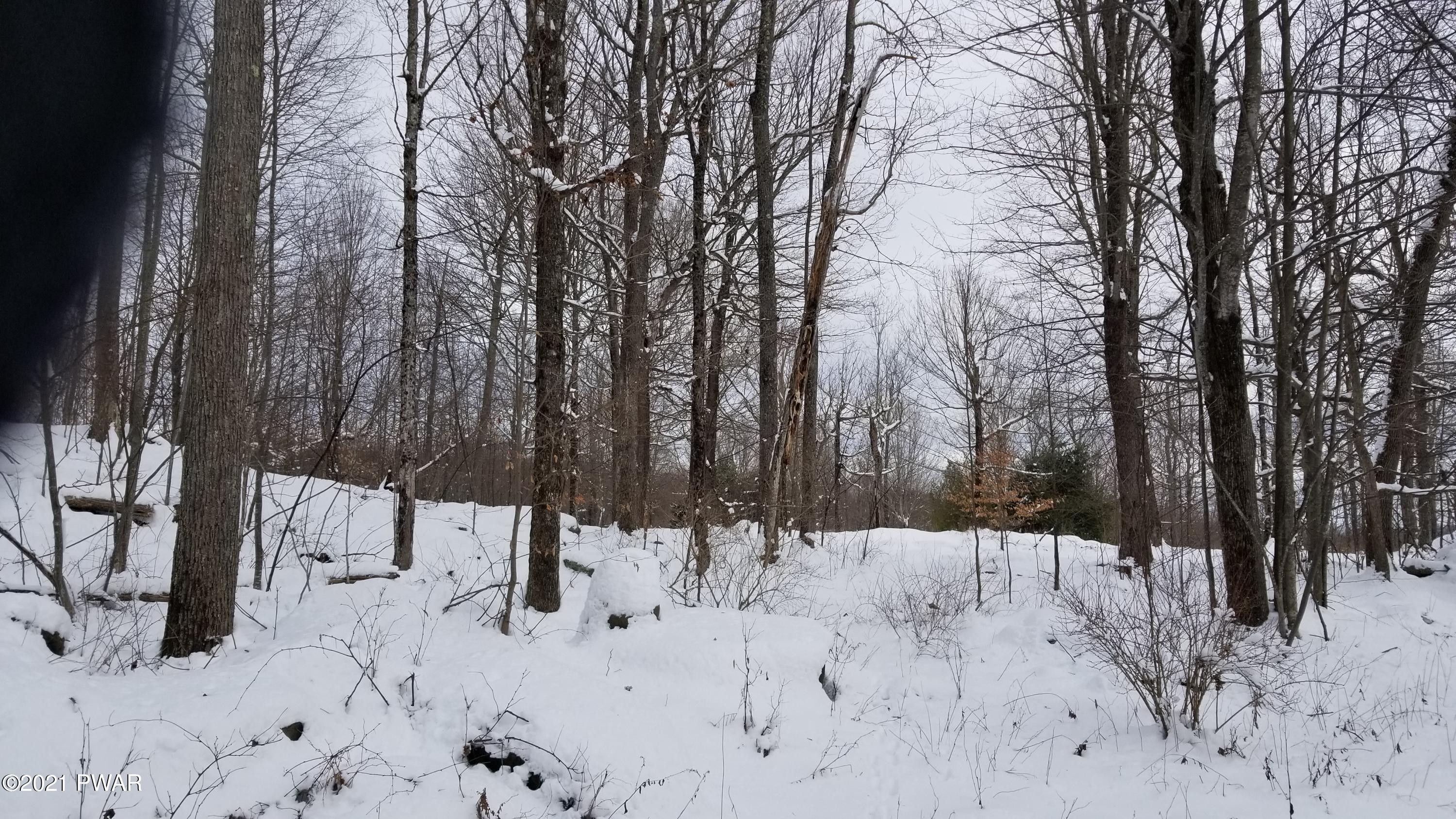 Lot 63 Old Woods Road Equinunk, PA 18417 - Photo 3 of 63