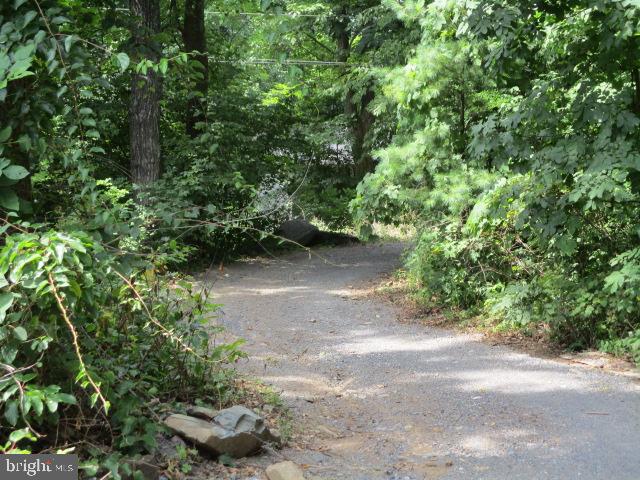 267 Trillium Trail Road Linden, VA 22642 - Photo 23 of 75 Gallery Image 23