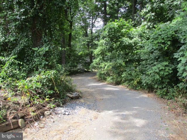 267 Trillium Trail Road Linden, VA 22642 - Photo 24 of 75 Gallery Image 24