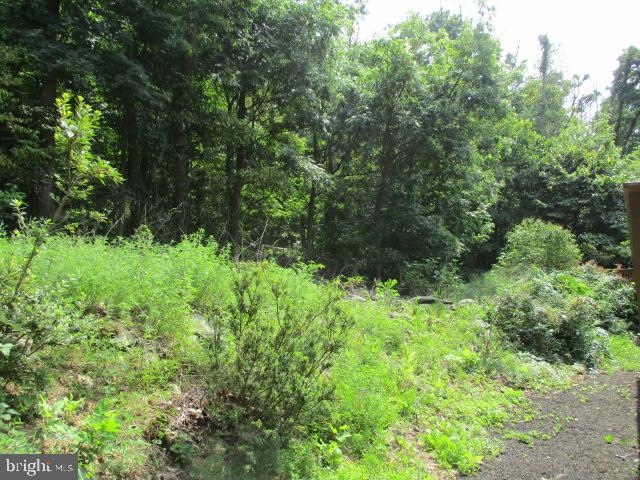 267 Trillium Trail Road Linden, VA 22642 - Photo 33 of 75 Gallery Image 33