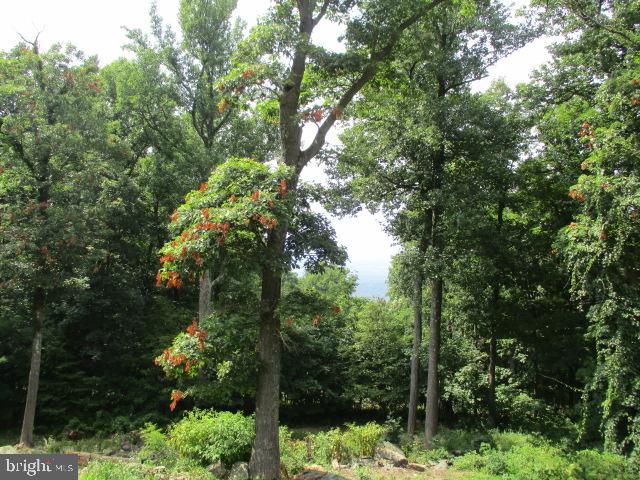 267 Trillium Trail Road Linden, VA 22642 - Photo 34 of 75 Gallery Image 34