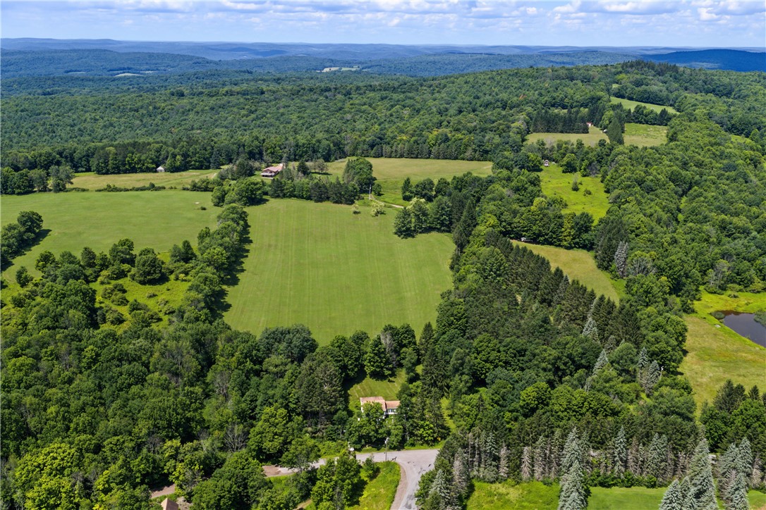 2695 Pomeroy Road Franklin, NY 13846 - Photo 7 of 50 Gallery Image 7