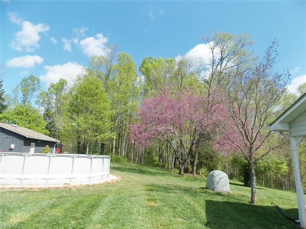 638 Flippin Road Lowgap, NC 27024 - Photo 22 of 24 Gallery Image 22