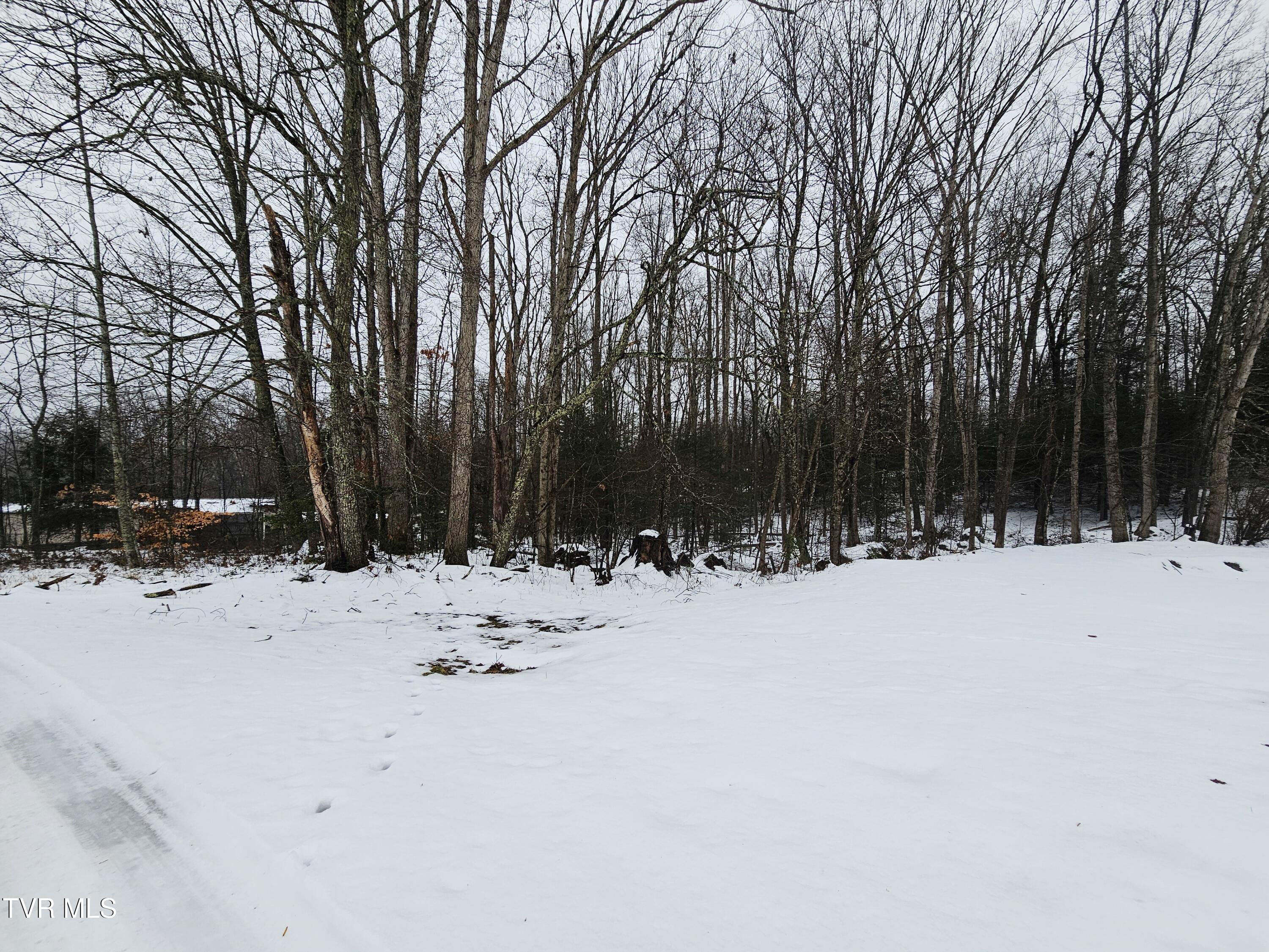 Tbd Gardner Heights Road, Unit 9 Norton, VA 24273 - Photo 8 of 11 Right side view