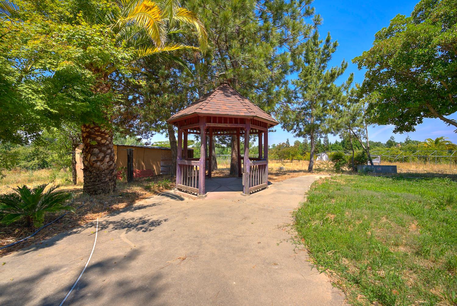 5990 Barton Road Loomis, CA 95650 - Photo 54 of 67 a view of a table and chairs under an umbrella