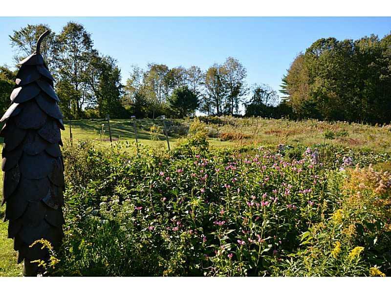 256 Tobey Road New Gloucester, ME 04260 - Photo 14 of 34 Yard/Garden.