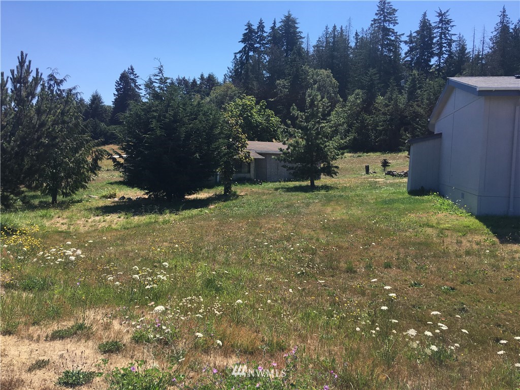 152 Bravo Road Port Angeles, WA 98362 - Photo 20 of 24