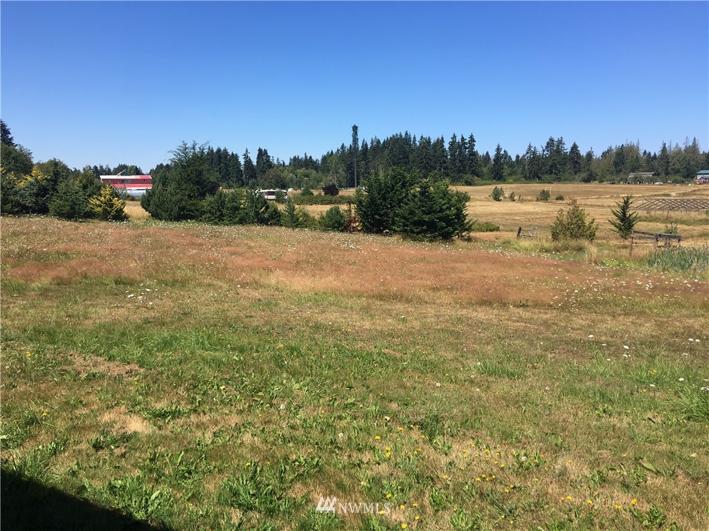 152 Bravo Road Port Angeles, WA 98362 - Photo 3 of 24