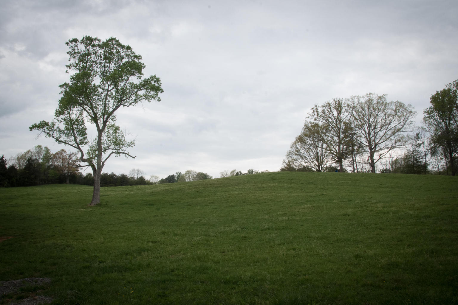 2 Big Springs Road Friendsville, TN 37737 - Photo 1 of 1 20170417181602410476000000-o