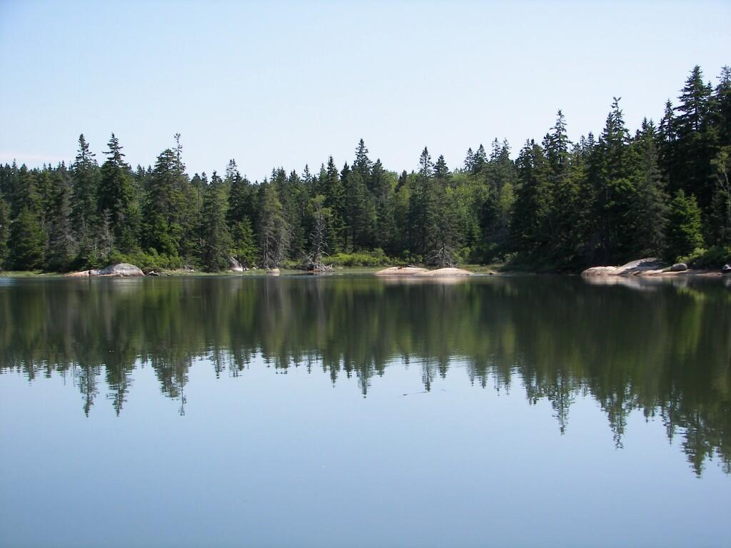 55 Calderwood Neck Road Vinalhaven, ME 04863 - Photo 4 of 18 PLEASANT RIVER-4E_1