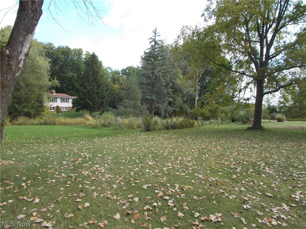 17346 Hallauer Road Wellington, OH 44090 - Photo 3 of 23 Gallery Image 3
