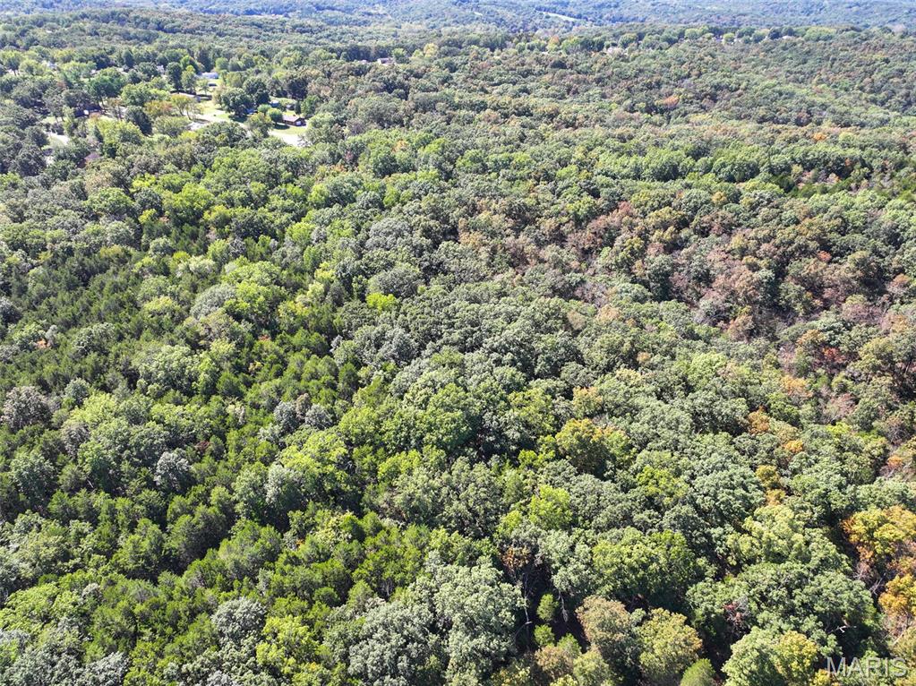 0 Haverstick School Road Festus, MO 63028 - Photo 11 of 26