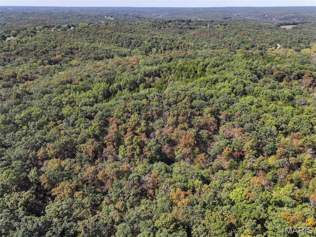 0 Haverstick School Road Festus, MO 63028 - Photo 12 of 26