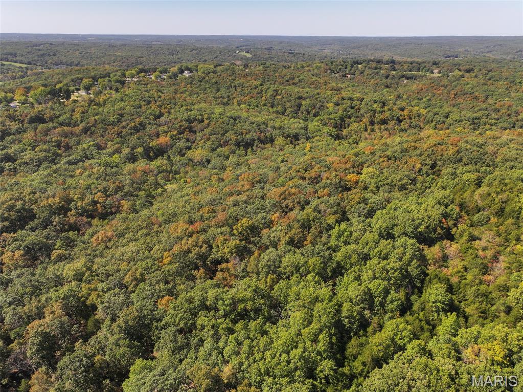 0 Haverstick School Road Festus, MO 63028 - Photo 13 of 26