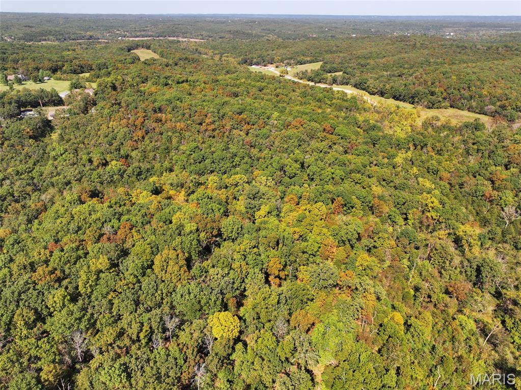 0 Haverstick School Road Festus, MO 63028 - Photo 15 of 26