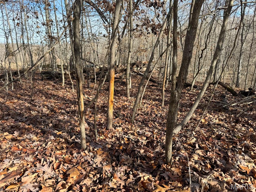 0 Haverstick School Road Festus, MO 63028 - Photo 18 of 26